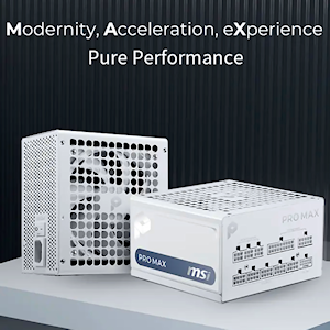 MSI PRO MAX 1000PL WHITE PSU